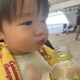 ぽむっちです