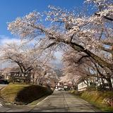 教員歴25年　タカ先生