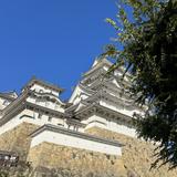 中国人大学院生