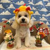 itoちゃん