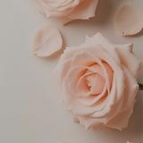 Rhea_