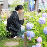 はるか｜元保育士❁心をほどく案内人