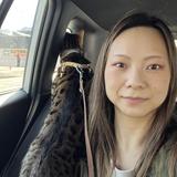 葉子yoko