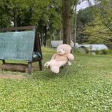 kuu0309
