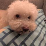 みはママナース