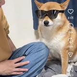 あういおえ