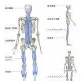 病院勤務PT