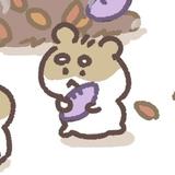 まるすたじお