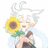 sekinin