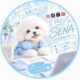 SENA｜SNS集客・フォロワー増加
