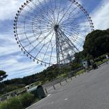 ひよこ228