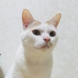 なごみん★さつき