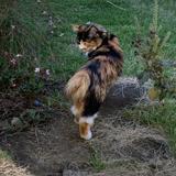 みけねことくろねこ
