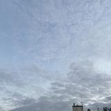 ashu_shu