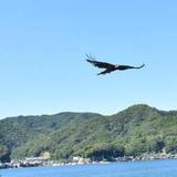 福井宮矢　（占い・祈祷）