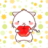 しらたまdango