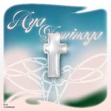 tomi_design