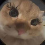 yuasan__00