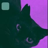 ai＊くろみつきなこ相談所