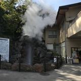 ぽぽのママ