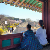 たつ（韓国の魅力をお伝えします）