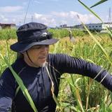 マコマーニ