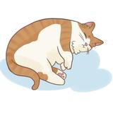 ななチャン