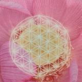 ☆ayumihealing