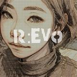 REVO eir