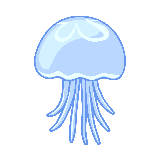 クラゲ虹