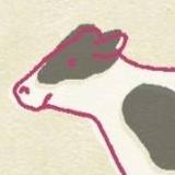 江のくま ｜ メディカルイラスト制作