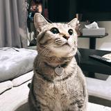ONION（オニオン）