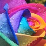 ☆RaInBow☆