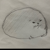 すめう。
