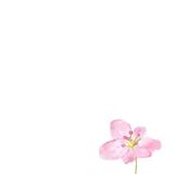 みなみゆう