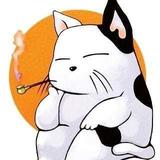 花ちょうちん