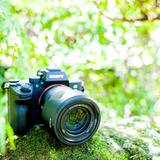 marimophoto