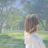 抹茶んデザインやさん