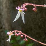 Linran0123
