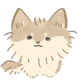 SATO TEDDY
