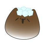 マヤ雪
