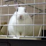 サエグサコウジ