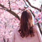 しなこ。