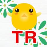 TR_design