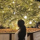 エイミー　女性向けSNS運用