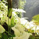 Miranda777＊バリ島在住ヒーラー