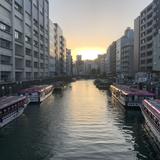 hattorimidori