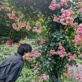いのり＠Web制作・LP制作