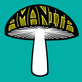 Amanita