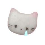 いんさん